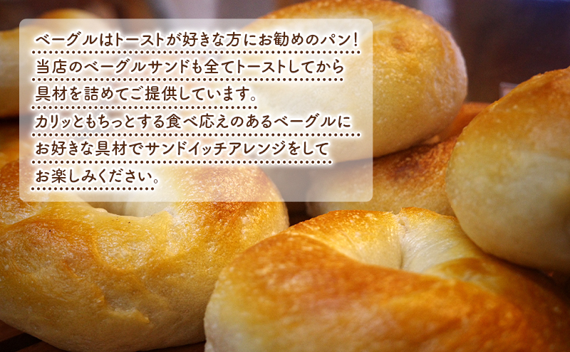 ベーグル詰め合わせ 12個 パン 国産 冷凍 ベーグル プレーン セット 詰合せ 詰め合わせ にかほ市 秋田 秋田県