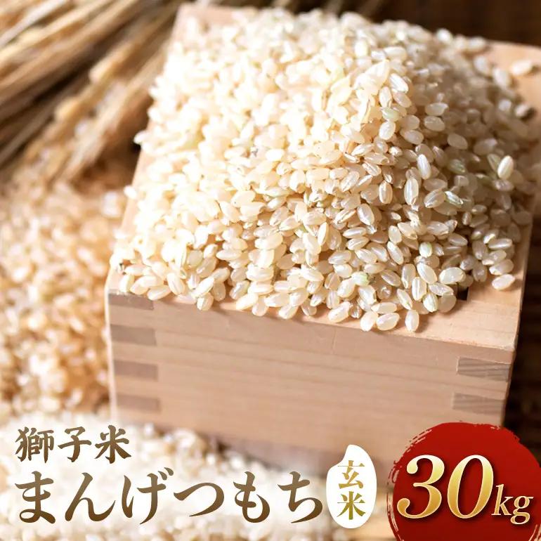 【令和8年産先行予約】獅子米まんげつもち（玄米）30kg B02-104