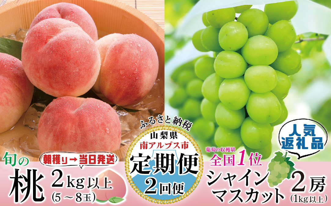 
                  ＜2027年発送先行予約＞【山梨県産 定期便2回送り】南アルプスの果物セット（桃、シャインマスカット） ALPAI032
                