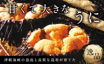 塩水キタムラサキウニ100g×3パック(2025年6月以降順次発送)  MATB014