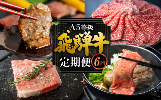 飛騨牛づくし定期便 6回 4人前 肉 定期便 飛騨牛 5等級 しゃぶしゃぶ すき焼き ステーキ 焼肉 お楽しみ定期便 6ヵ月 もも うで 食べ比べ 国産牛 国産 牛肉 肉 厳選 熟成 肉の沖村 飛騨市