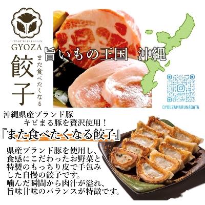 ふるさと納税 糸満市 沖縄県ブランド豚キビまる豚贅沢使用!1個38g大判サイズの手包み餃子 |  | 02