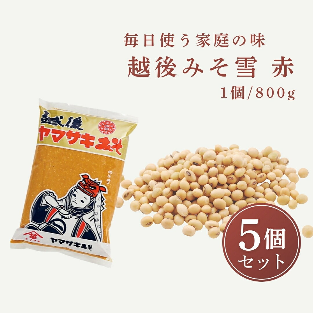 【ふるさと納税】越後みそ雪（赤）800g×5個 山崎醸造 味噌 調味料 山崎醸造 【0002-0358-01】