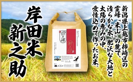 新之助 お米 上越市柿崎産 新之助 5kg お米
