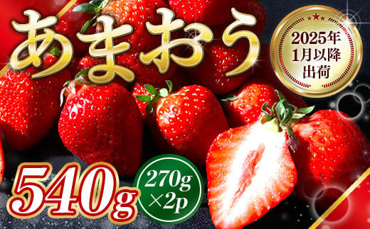 福岡県産 あまおう 540g  いちご 果物 フルーツ ギフト 季節限定  先行予約 2025年1月以降より順次発送 TY052-1