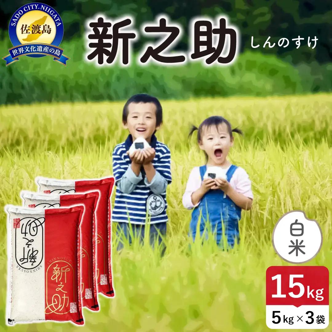 令和8年産 佐渡島産 新之助 白米15kg