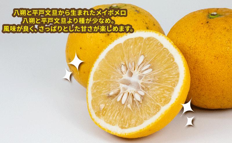 愛媛 みかん メイポメロ イエローポメロ 8kg 10~12個 詰合せ 山本みかん ポメロ 果物 フルーツ 柑橘 蜜柑 農家直送 産地直送 数量限定 国産 宇和島 B015-038005