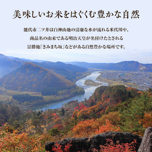 《定期便9ヶ月》【白米】JAS有機米 きみまちこまち 4kg （2kg×2袋）秋田県産 あきたこまち 令和5年産