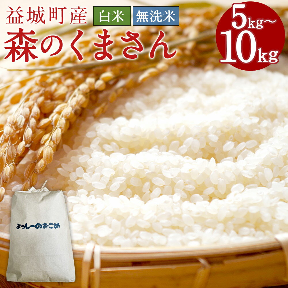 【ふるさと納税】益城町産 森のくまさん 5kg/10kg 白米/無洗米 選べる内容量 選べる精米タイプ 令和7年産 お米 精米 熊本県産 九州産 送料無料【2025年11月上旬より順次発送予定】