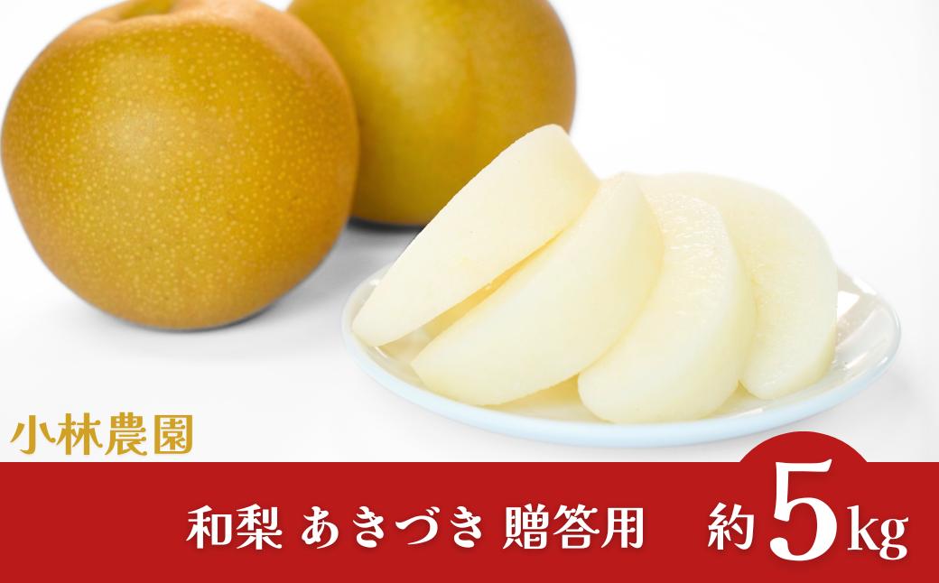 
            先行予約 和梨 あきづき 約5kg 令和8年度 新潟県三条市産 梨 [小林農園]【012P045】
          