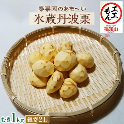 ふるさと納税 福知山市 秦栗園のあま〜い氷蔵丹波栗 銀寄2L むき1kg【熟成】大粒 11月中旬発送