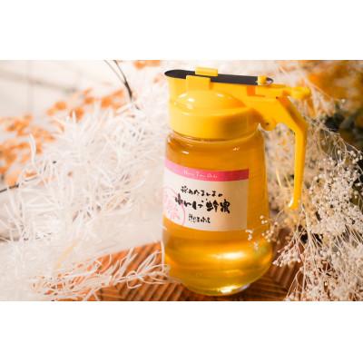 ふるさと納税 大垣市 【国産蜂蜜】希少な『れんげ蜂蜜』(パッカー容器入:450g)