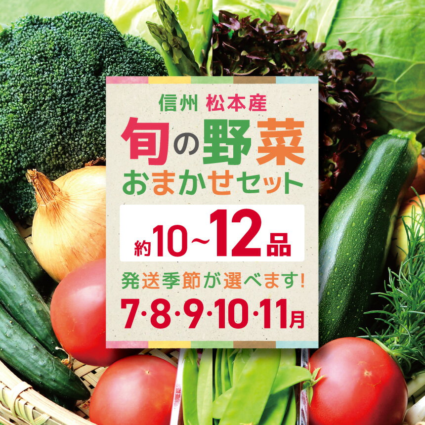 【ふるさと納税】【選べる季節】信州松本産・旬の野菜 おまかせセット（約10～12品）7月発送 or 8月発送 or 9月発送 or 10月発送 or 11月発送 │ 野菜 やさい 旬 旬の野菜 新鮮 自然 セット 野菜セット 美味しい 長野県 信州 松本 ふるさと納税