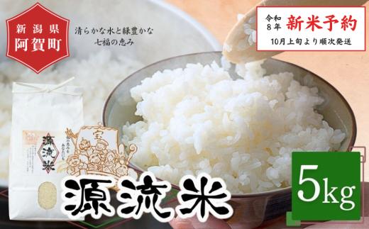 《令和8年産　新米予約》米 5kg 新潟県阿賀町産 コシヒカリ「源流米」 令和8年産 精米 白米 5キロ 新潟県産コシヒカリ 新潟県産こしひかり 新潟県産 コシヒカリ こしひかり ごはん ご飯 新潟県 阿賀町