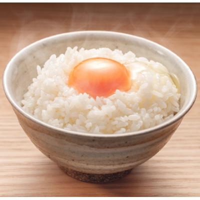 ふるさと納税 養父市 令和7年産新米・2025年9月以降発送【蛇紋岩ブランド　華やか一膳20kg】 |  | 01