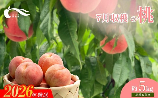 No.1761もも　7月収穫の桃　品種お任せ　約5kg【2026年発送　先行予約】