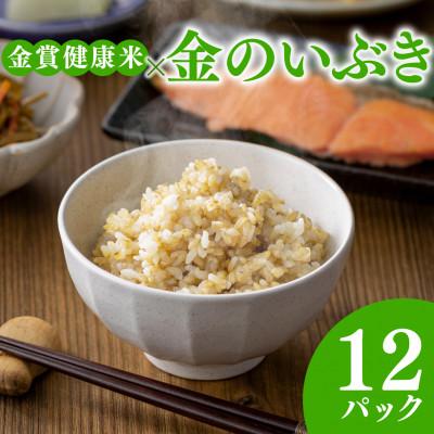 ふるさと納税 松原市 ご飯パック 金賞健康米 金のいぶき 120g×12個入り 国産 レンチン