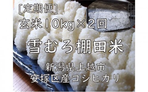 
                  雪むろ棚田米コシヒカリ10kg玄米[定期便]毎月発送(計2回) 新潟県 上越市 新潟産 米 コメ
                