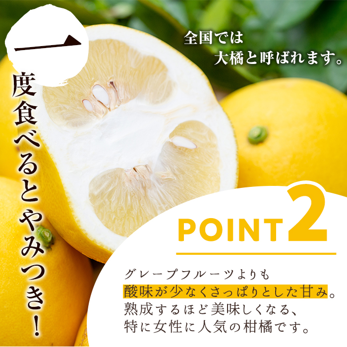 ＜先行予約受付中！2026年2月下旬以降発送予定＞＜訳あり・傷あり＞数量限定！サワーポメロ(約7kg) 国産 フルーツ 果物 柑橘類 サワーポメロ 甘味 酸味 デザート おやつ 訳あり【なかむら果樹園
