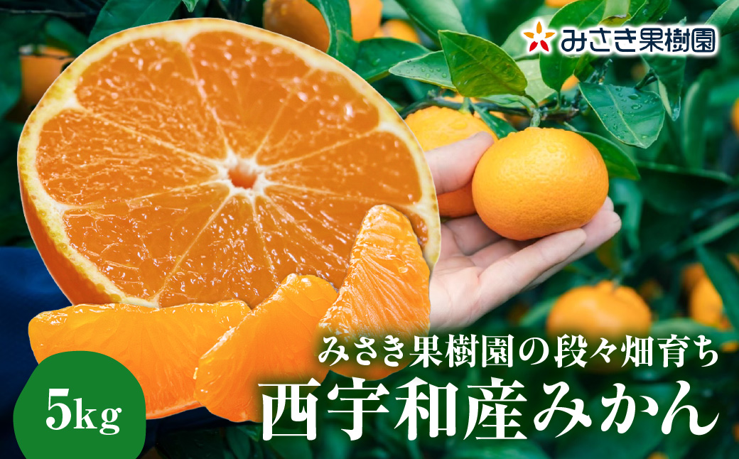 【先行受付】みさき果樹園の段々畑育ち 西宇和産みかん5kg【C21-47】YWTBC028