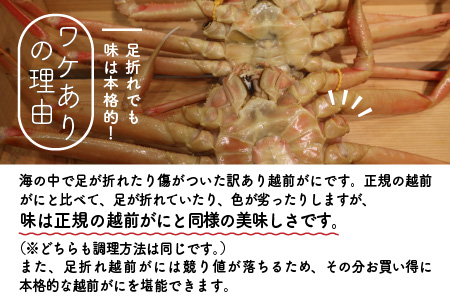 【先行予約】訳あり越前ズワイ蟹(中) 2杯 と 干しカレイ 4匹【2024年1月～3月発送予定】 [J-1601]