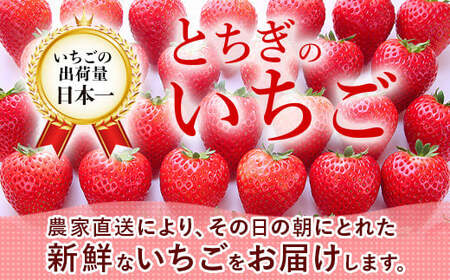 とちあいか600g＆とちおとめ600g 食べ比べセット 計1.2kg 風袋入り ｜ 人気 2品種 食べ比べ 手作り 厳選 農家 特産品 新鮮 フレッシュ ストロベリー 苺 塩谷町 ※2026年12月～