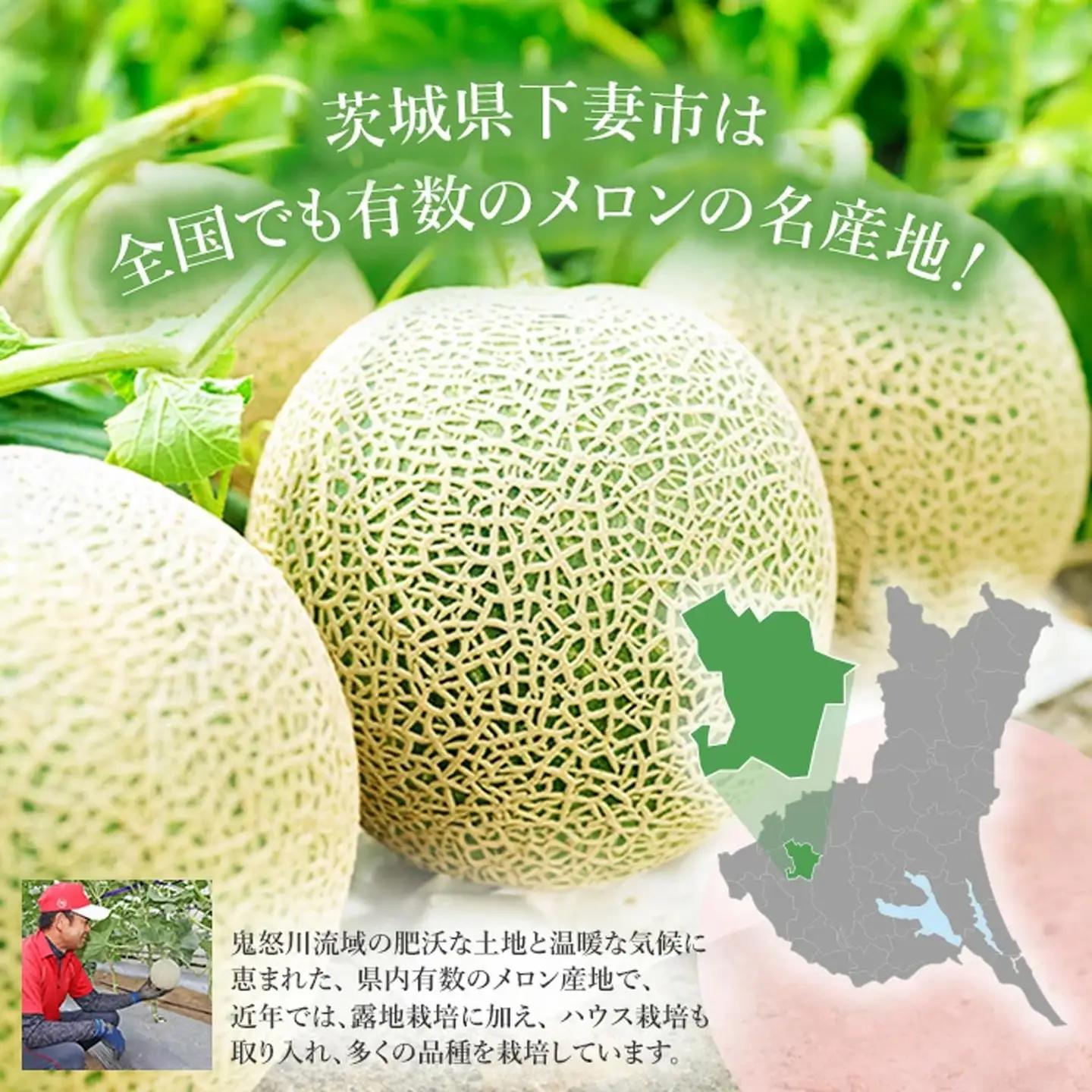 メロン 茨城県産 R8年産 アールスメロン 約2.5kg 2個