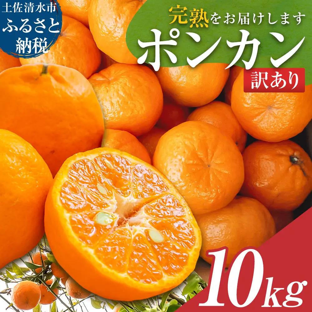 ぽんかん 10kg ポンカン 令和9年発送 訳あり 柑橘【ぽんかん】【R01081】