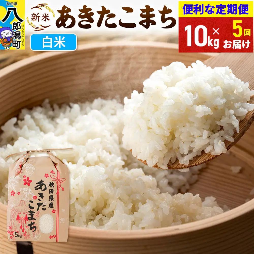《新米》《定期便5ヶ月》あきたこまち 10kg【白米】 令和8年産 秋田県産 こまちライン