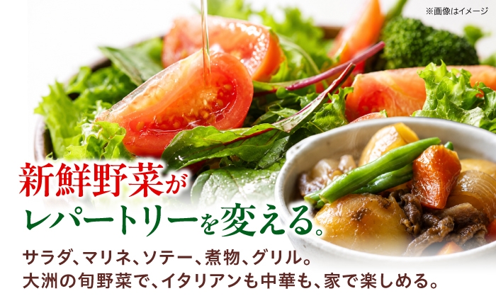 旬のお野菜セット