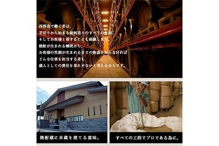 No.803 ＜定期便・全3回(連続)＞鹿児島焼酎！薩摩宝山の豪華セット(7銘柄・各720ml×1本×3回) 焼酎 酒 アルコール 芋焼酎 麦焼酎 ギフト セット 飲み比べ定期便 頒布会 常温 常温保