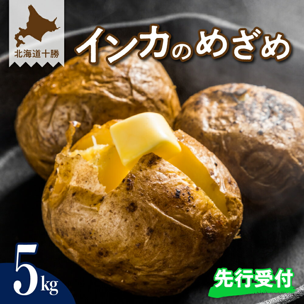 【ふるさと納税】【 先行予約 】じゃがいも 貴重品種 インカのめざめ 5kg【2025年9月下旬より配送予定】先行受付 芋 ジャガイモ インカ 産地直送 数量限定 ポテト 甘い ねっとり 濃厚 幻 芋 お芋 イモ いも 新鮮 北海道 十勝 芽室町