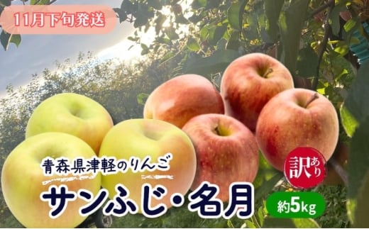 【11月下旬発送】【訳あり】青森県津軽のりんご「サンふじ・名月」約5kg【里いちみfarm】