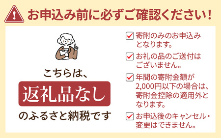 【返礼品なし】長野県 岡谷市 応援寄附金 10,000円