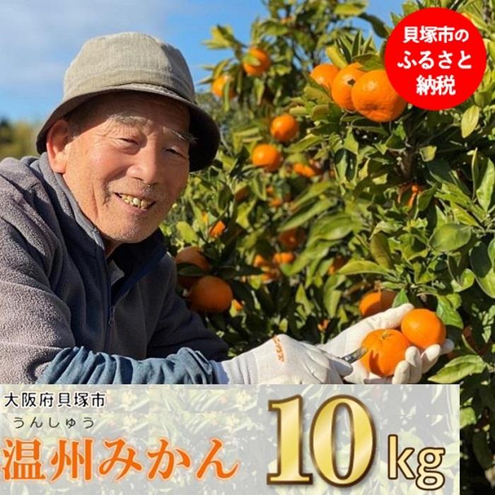 【ふるさと納税】季節の味覚！貝塚市産 温州みかん10kg | S M L ミックス 家庭用 蜜柑 ミカン フルーツ 果物 甘い ジューシー
