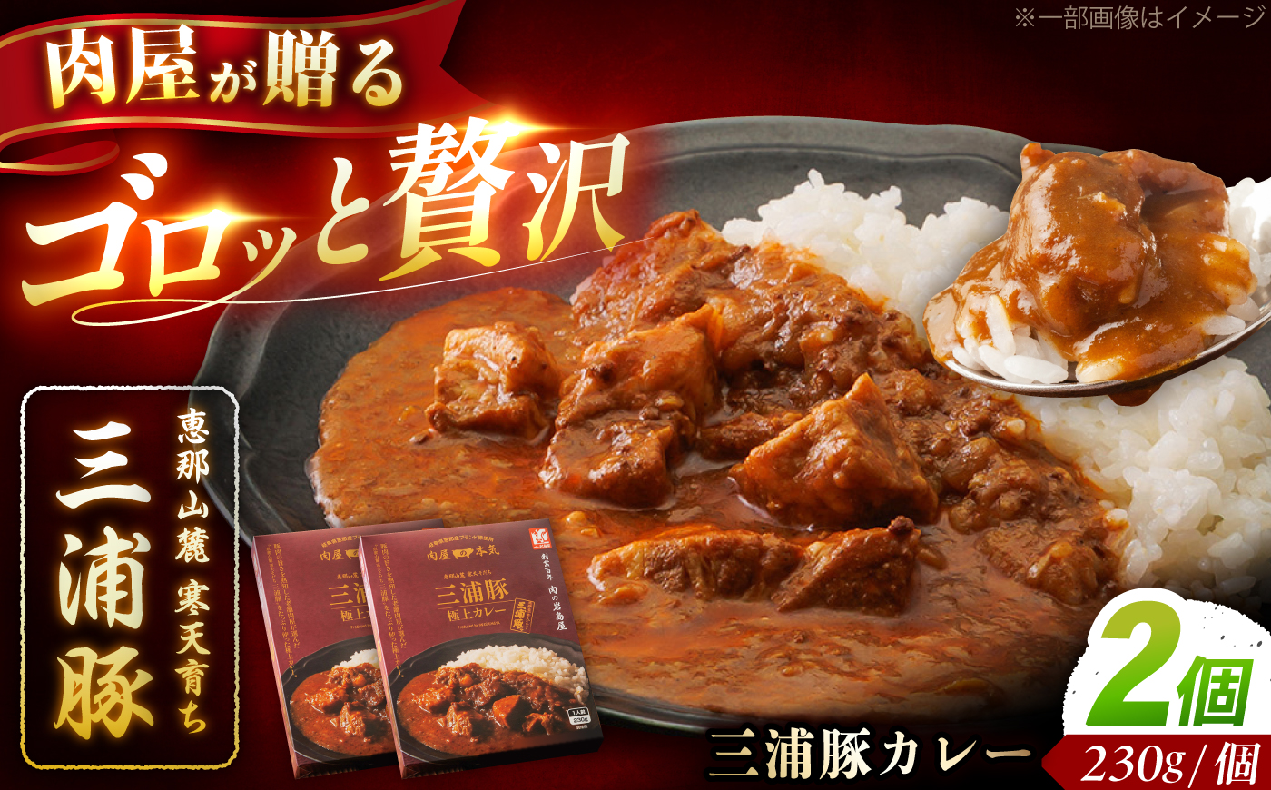三浦豚カレー 2個セット (230g×2個) / カレー 三浦豚 レトルトカレー セット 恵那市 / 岩島屋 [AUAJ056]
