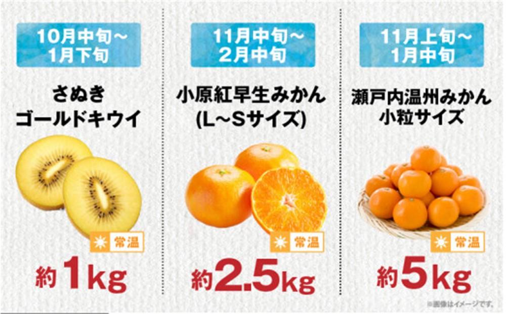 【12回毎月お届け】高松市自慢のフルーツ定期便【L】