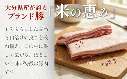 大分県産ブランド豚 奥豊後豚（米の恵み） バラ肉ブロック 1.8kg (1.8kg×1) 豚肉