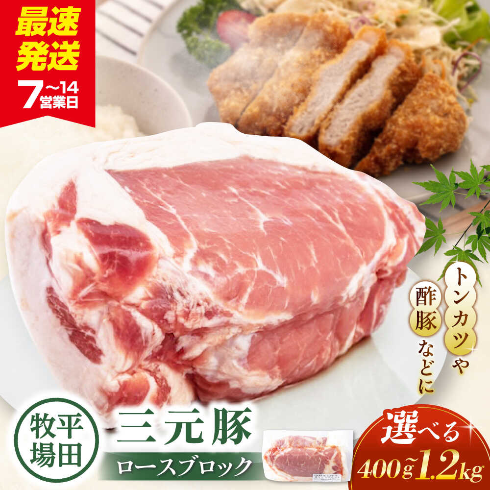 【ふるさと納税】【選べる内容量】平田牧場 ロースブロック 400g～1.2kg《喜茂別町》【平田牧場】 肉 豚肉 ロース ブロック ローストポーク 煮豚 酢豚 煮物 冷凍配送 北海道 選べる えらべる 平田牧場 三元豚 [AJAP070] 8000 8000円 8千円 10000 10000円 1万円 18000 18000円