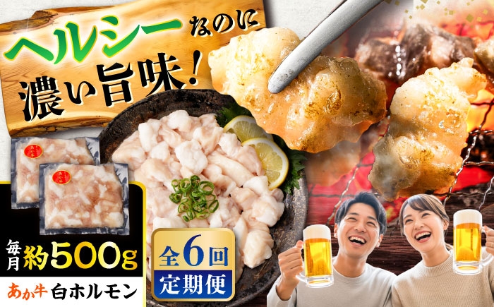 
                  【全6回定期便】あか牛 白 ホルモン 約500g (約250g×2P) / ホルモン ほるもん ホルモン肉 肉 牛肉 白ホルモン 熊本県 菊陽町 九州産 国産 あかうし あか牛肉【五右衛門フーズ】 [BHCY011]
                