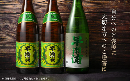 入手困難【早瀬浦】純米吟醸 1800ml × 1本 ＆ 本醸造 1800ml × 2本 セット【飲み比べ 日本酒 地酒 福井 美浜 早瀬 フルーティ 男酒 硬水 ミネラル 希少 ご褒美 家飲み】[m1