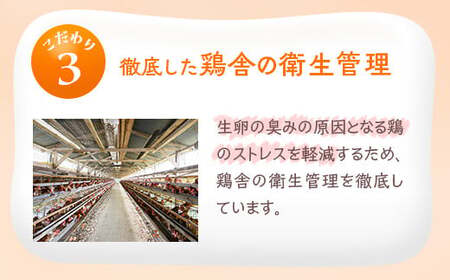 小久保ファーム　濃厚卵黄　産みたてたまご　赤玉80個入り（M玉） _EI03