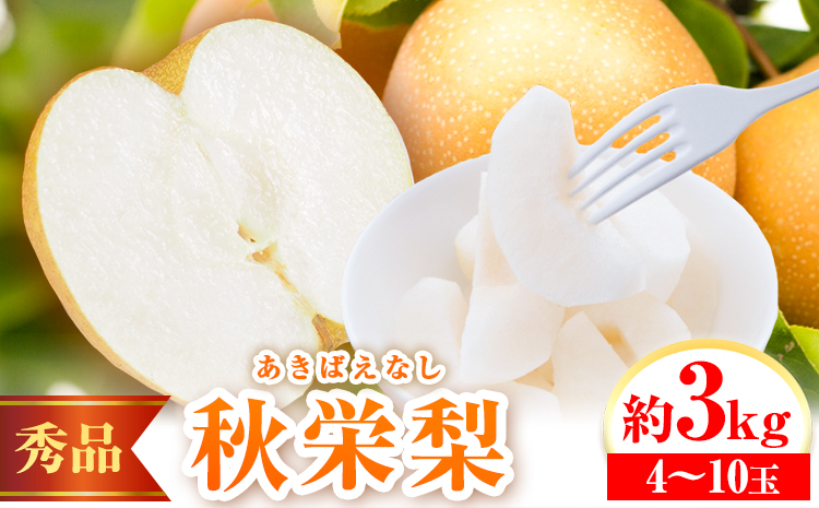 【2026年先行予約】秀品 秋栄梨 約3kg (4~10玉) 高間商店《2026年8月中旬-9月上旬頃出荷》 鳥取県 八頭町 梨 なし ナシ 果物 フルーツ 先行予約 ふるさと納税 送料無料 甘い 果実 果汁 デザートst-p