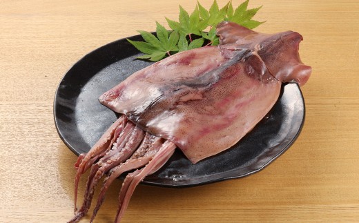するめちゃん しょうゆ漬け（カット100g）（姿 1枚（180g以上）【冷凍】のうさん糀村 スルメ漬け するめ漬け スルメ 醤油漬け イカ いか おつまみ つまみ ご飯のお供 おかず 下呂 飛騨