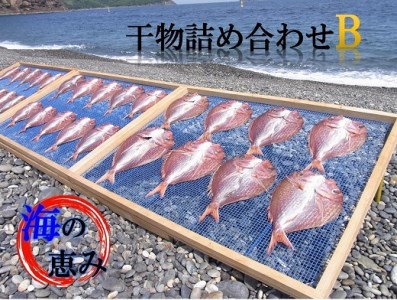 海の恵み　干物詰め合わせB【hatt0002】