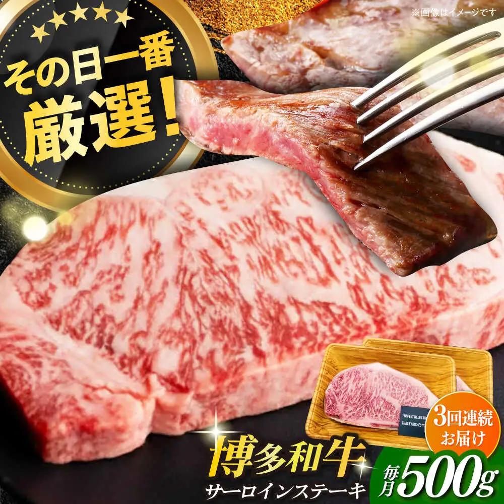 サーロイン 【全3回定期便】 500g（250g×2枚）  [ABBP030] サーロイン