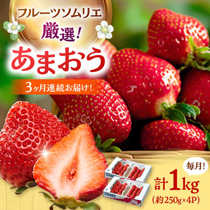 【ふるさと納税】【全3回定期便】福岡産【冬】あまおう4パック ▼ イチゴ 苺 福岡 あまおう 果物 フルーツ 定期便 桂川町/南国フルーツ株式会社[ADBW044] 60000 以上 60000円 以上 6万円 以上