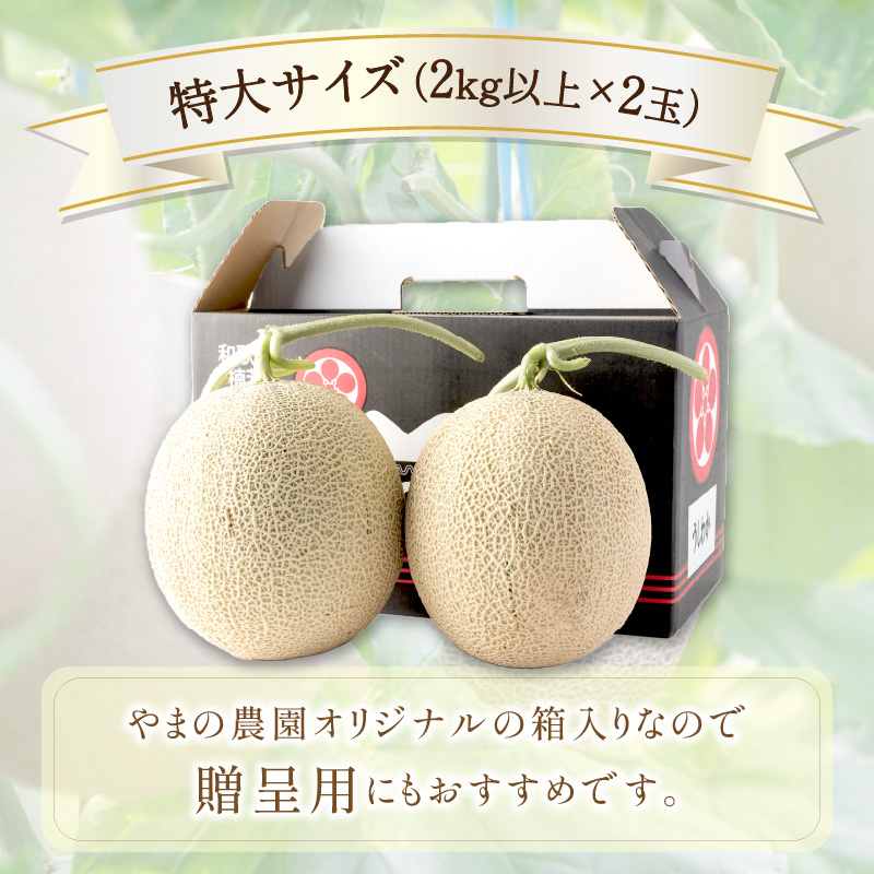 【0925-3】やまの農園　感謝のメロン～一期一会「うしわか」～（先行予約2025年7月中旬より順次発送予定）