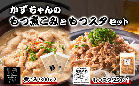 かずちゃんのもつ煮こみともつスタセット【300g×2袋,250g×1袋】惣菜 千葉県 千葉市 お取り寄せグルメ 球場グルメ 球場名物 おかず おつまみ 酒の肴 国産豚 ホルモン もつ 本格的 