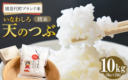 令和7年産 猪苗代町ブランド米 いなわしろ天のつぶ( 精米 ) 10kg ｜ お米 白米 福島 大粒 寿司 和食